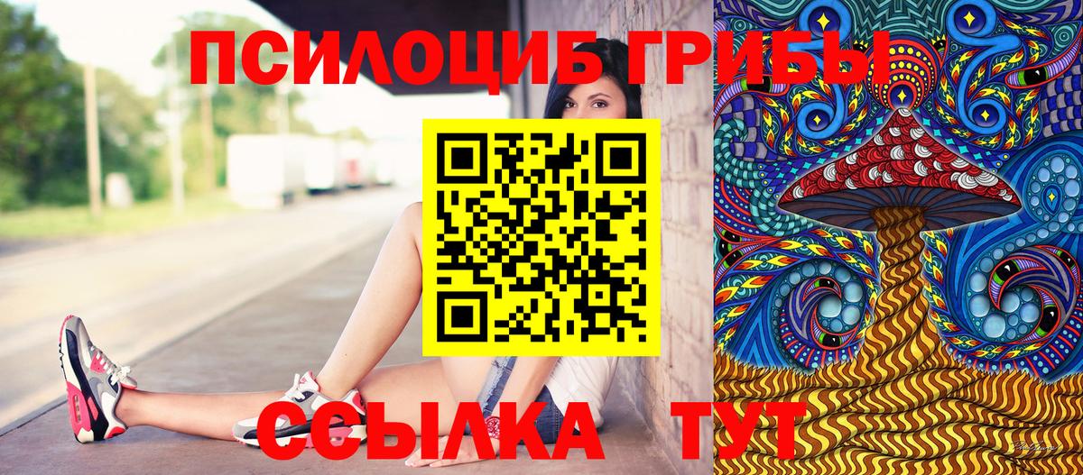 Псилоцибиновые грибы Psilocybe Южноуральск