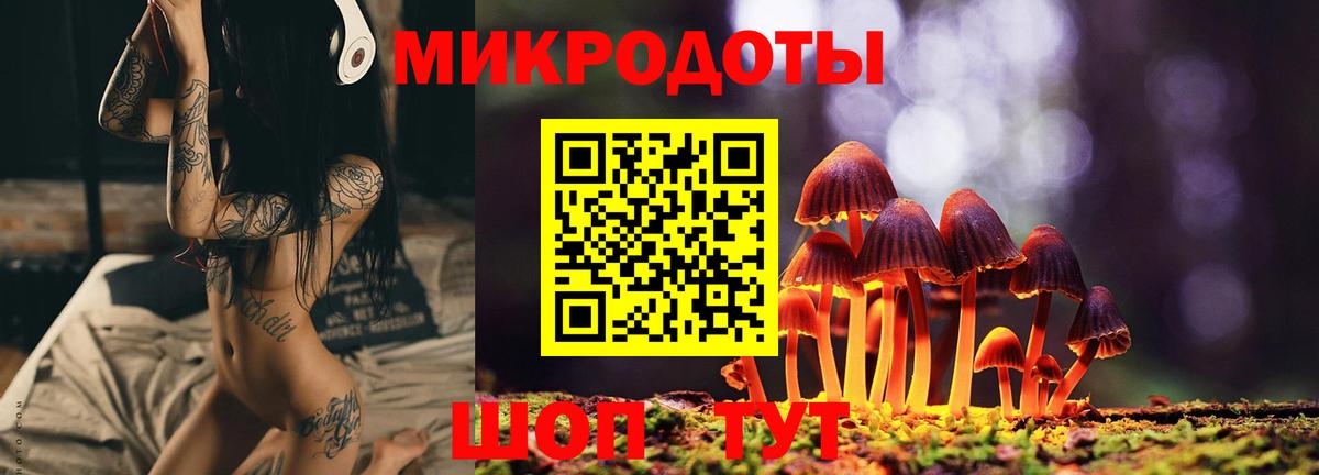 Галлюциногенные грибы Psilocybe  купить закладку  Вход с VPN  Южноуральск  Галлюциногенные грибы Psilocybe 